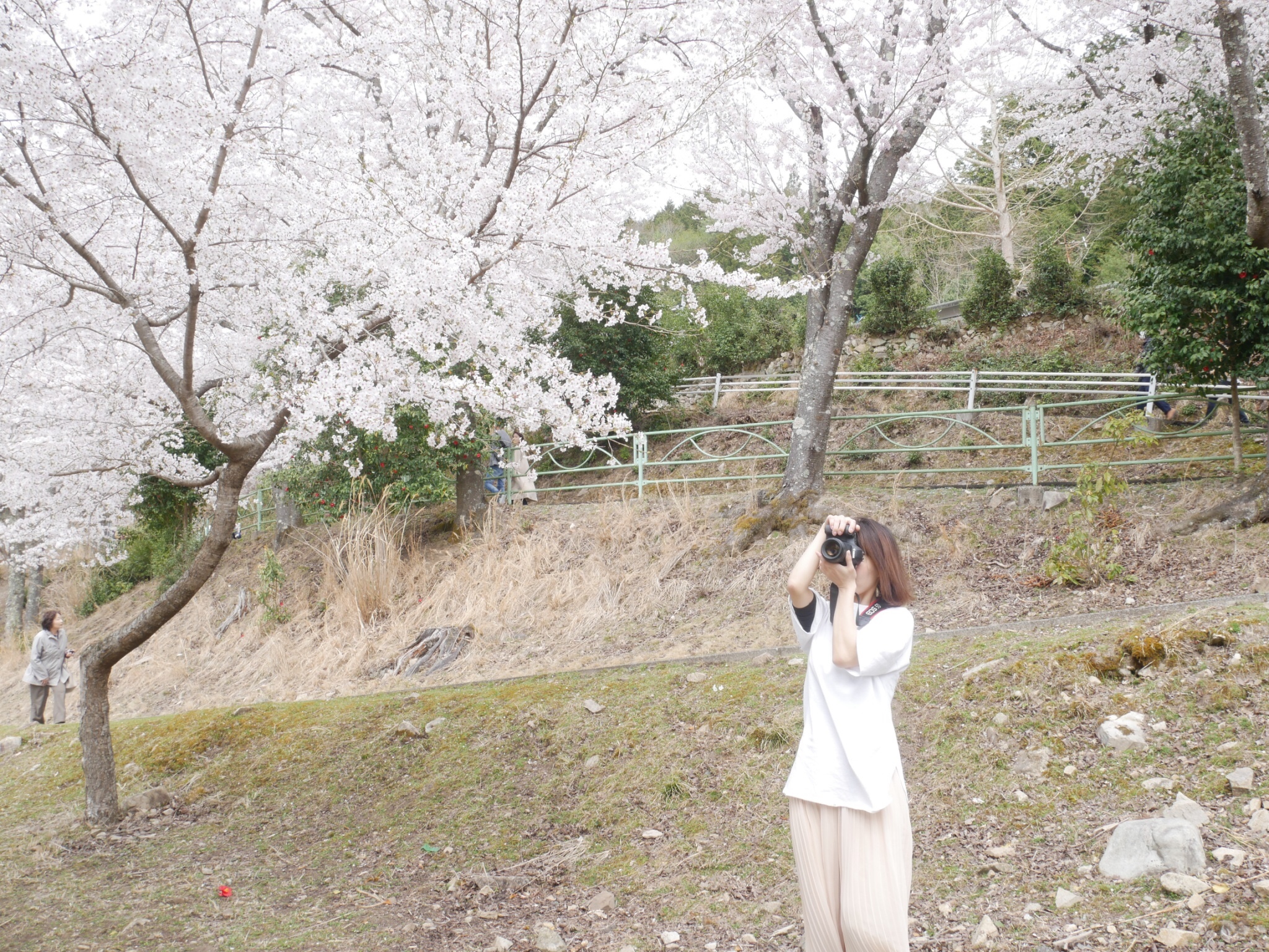 EE9F432E-9A0C-4700-AEC1-B48BBD3D7668