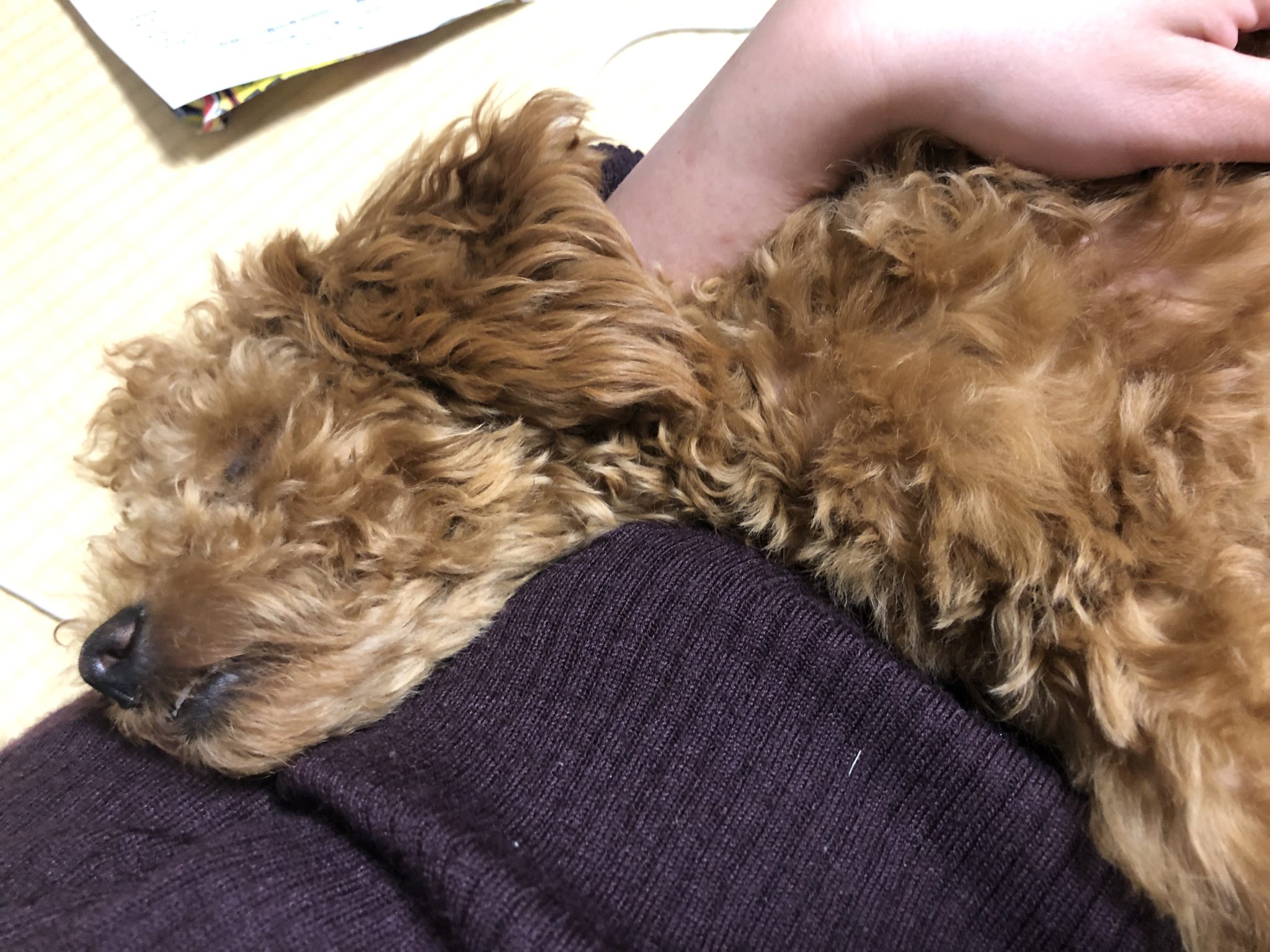 86E5DD36-E533-499D-88E5-C74BEEDAE5F9